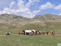 2026-08-013 Allenamento PNALM 044
